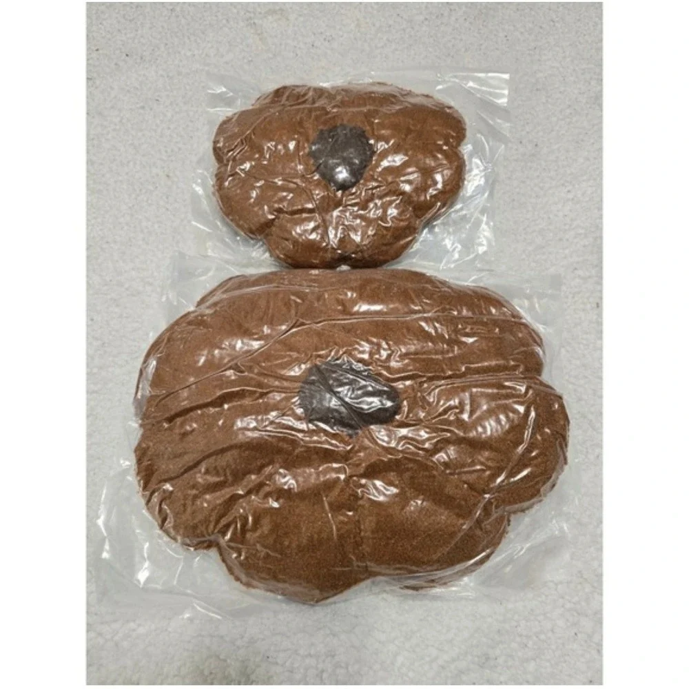 Set of 2 Pumpkin Decorative Throw Pillows Terracotta Brown Fall Autumn Decor